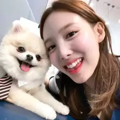 杨思萱